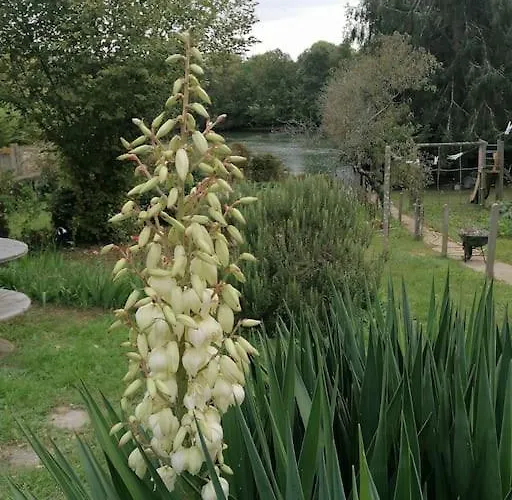 La Casa Del Rio Holiday home Durtal